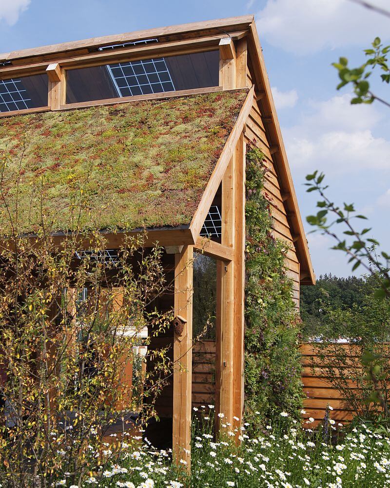 zelena-extenzivni-strecha-drevostavba-zahrada