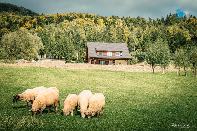 Pohádková-roubenka-Ondřejník-Beskydy-3