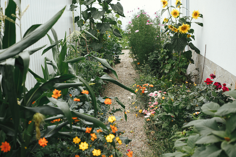 5 jak-na-zahrade-spravne-sazet