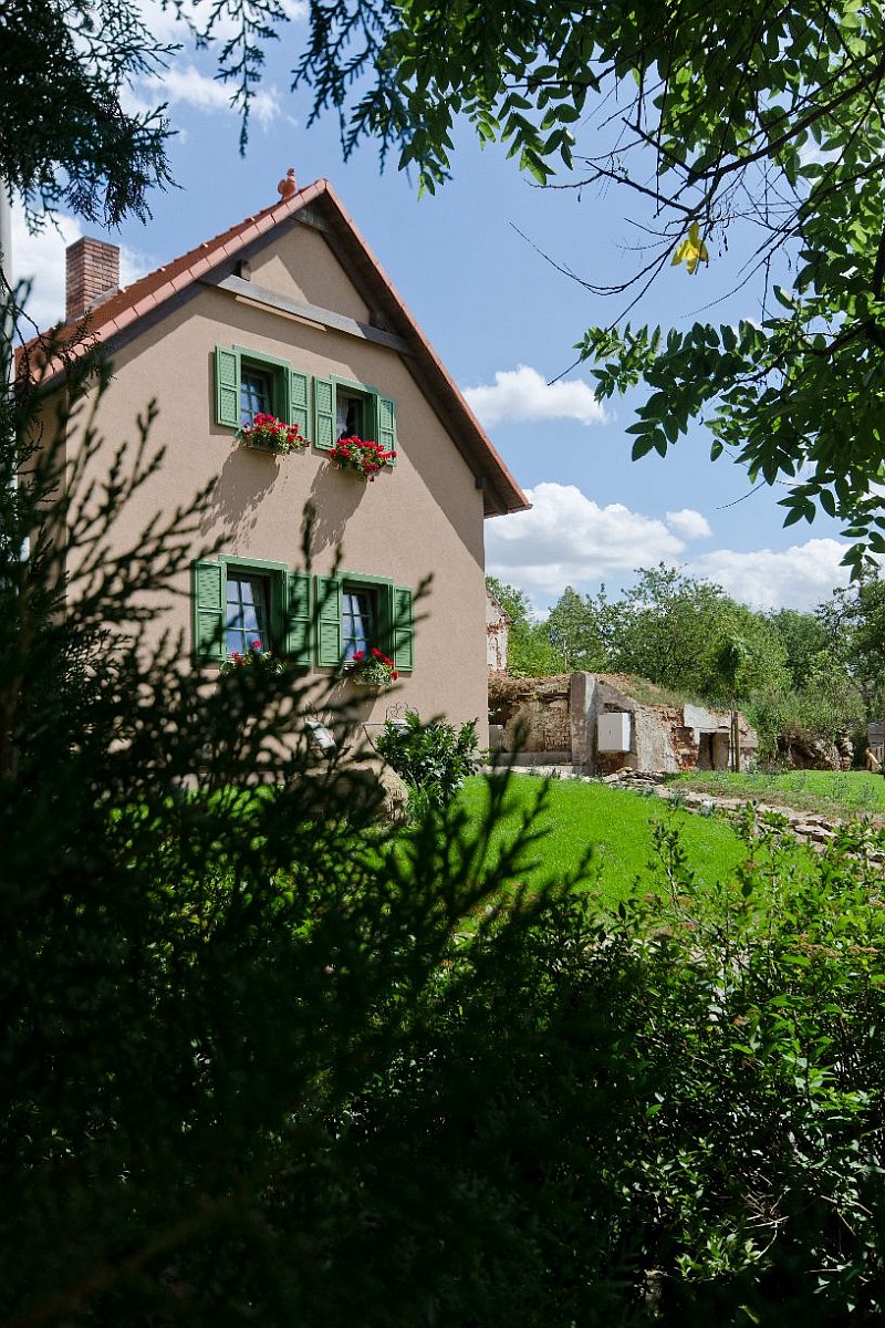 navsteva-drevostavby-bydleni-s-vuni-provence-domy-dnes-exterier-zahrada-2