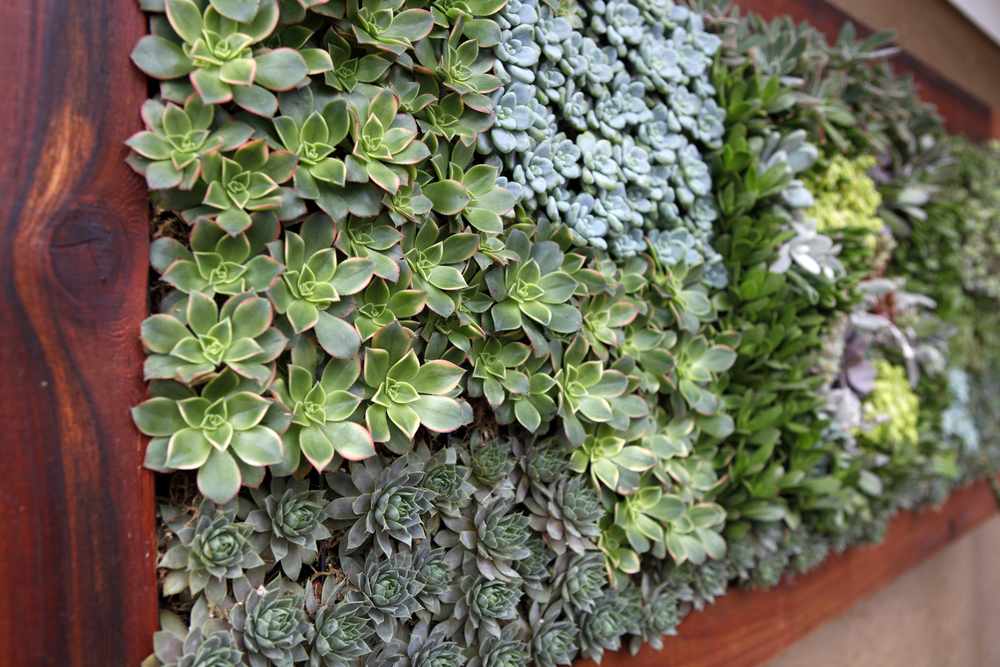 Z AKTUÁLNÍHO VYDÁNÍ: <small>Fasáda jako vertikální zahrada</small>