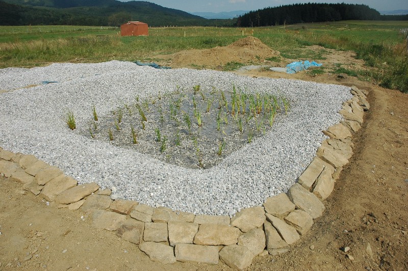 Průběh stavby kořenové čistírny odpadních vod.