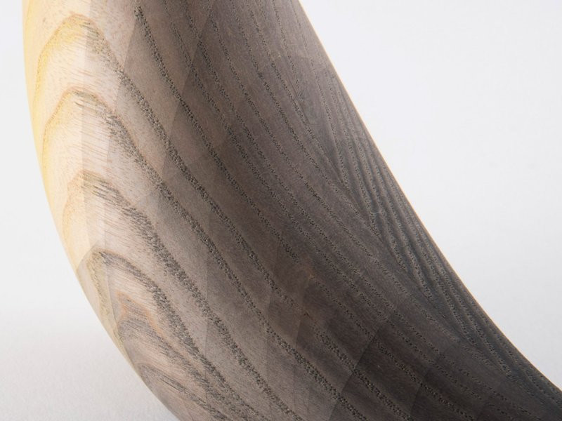 struktura dřevěného ptáčka