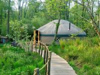 communal-yurt crafty-camping