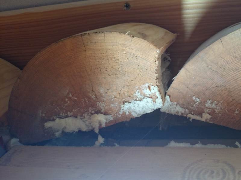 02 mikroklima v dřevostavbách