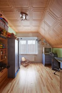 Frysava 2015-01-15 001 kopie